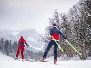 Winter bliss in Bad Tölz Two cross-country skiers skiing in snowy forest with mountains in background