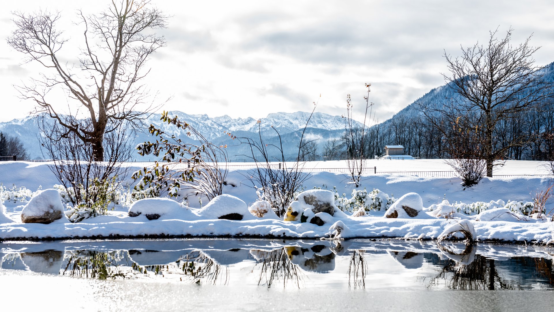 BERGEBLICK: Ihr Hotel in Bad Tölz Winterlandschaft mit schneebedeckten Bäumen und Bergen, Spiegelung im Wasser