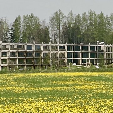 BERGEBLICK: Ihr Hotel in Bad Tölz Blühende gelbe Blumenwiese vor einem modernen Gebäude und Wald