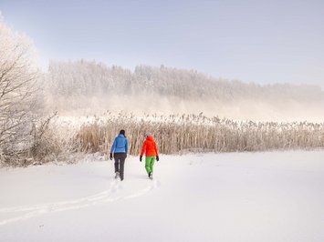 Winter bliss in Bad Tölz Two people walking through snow near reeds and snow-covered trees