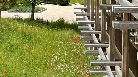 Aussicht auf Traumurlaub in Bad Tölz Wiese mit roten und weißen Blumen neben einem Holzgebäude und einem Baum