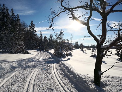 Winter bliss in Bad Tölz Snowy winter trail with two cross-country skiers under a bright sun