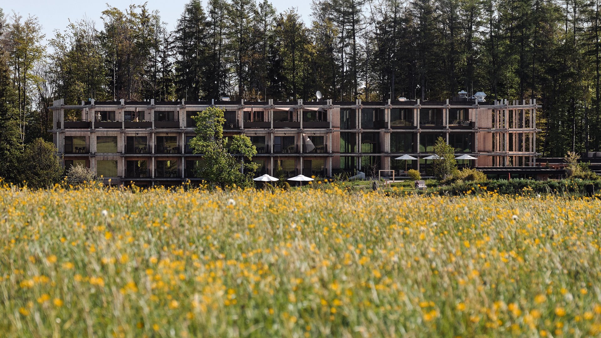 Hotel BERGEBLICK in Bavaria Modern building in front of forest with meadow of yellow flowers in the foreground