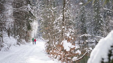 Aussicht auf Traumurlaub in Bad Tölz Zwei Personen spazieren auf verschneitem Waldweg neben Fluss
