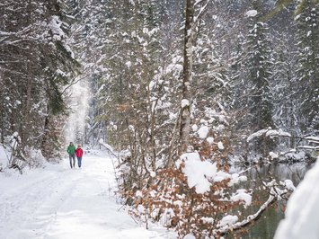 Winter bliss in Bad Tölz Two people walking on snowy forest path beside river