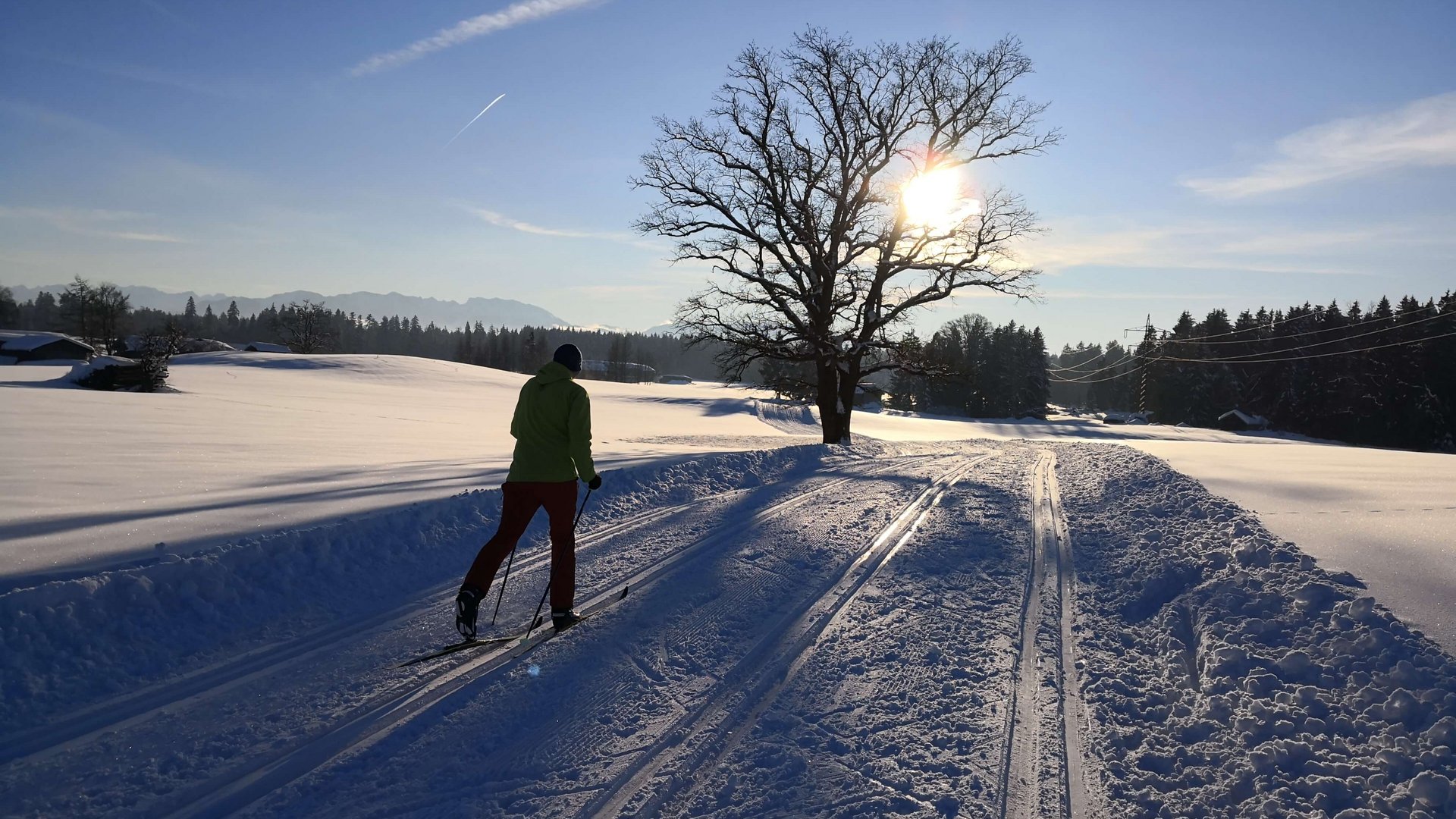 Winter bliss in Bad Tölz Person cross-country skiing on snowy trail with sun setting behind a tree